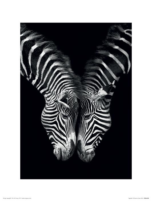 Marina Cano (Together) 60 x 80